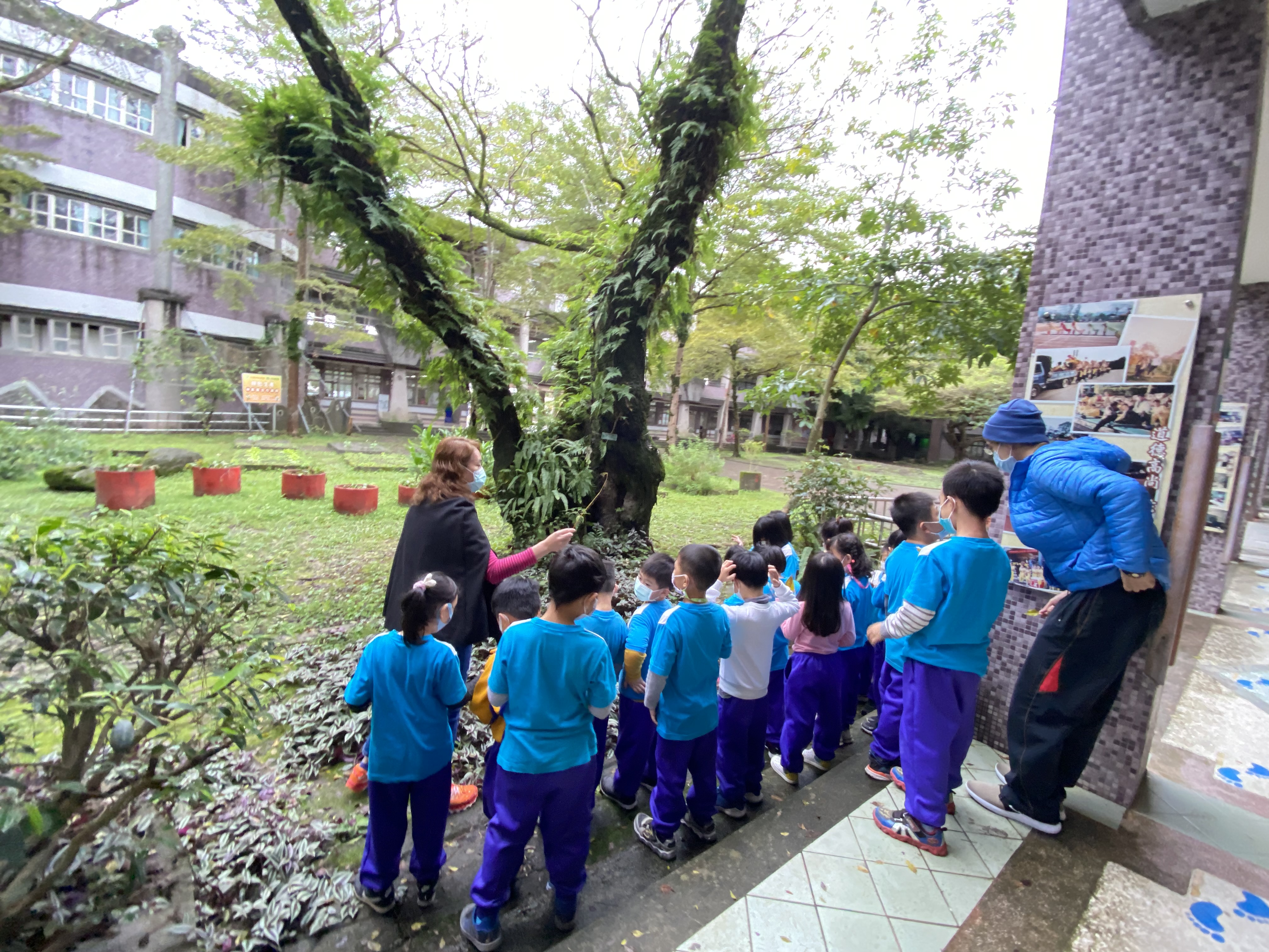 一年級新生認識校園樹木與如何護樹導覽